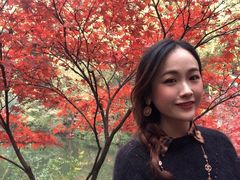 -杨裕兴(岳麓山店)