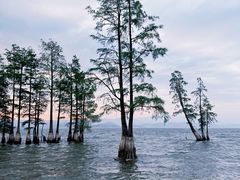 -大理洱海