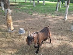 -长白岛森林公园