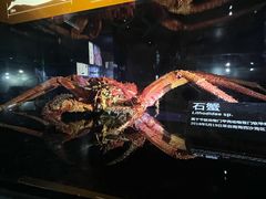 -同济大学四平路校区深海探索馆