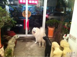 老黑家的道吉-老黑造型