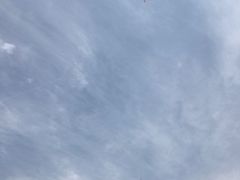 -九里河湿地公园