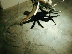 -上海油画雕塑院