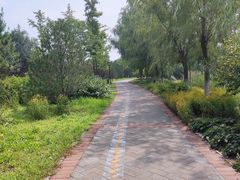 -永定河休闲森林公园