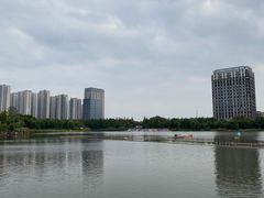 -南翔镇银翔湖公园