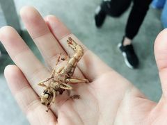 -铁锅炖灶台鱼老三炖鱼馆