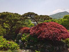 -西湖外事游船(花港观鱼码头)