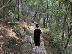 -宝岩生态观光园