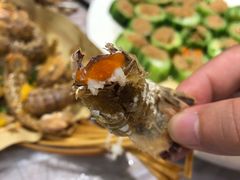 -桥东喜碧海鲜街(水东街店)