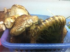 松茸-银同牦牛肉火锅