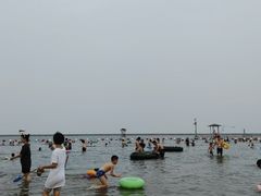 -碧海金沙