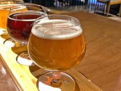 花鼓戏ipa-熊猫精酿啤酒厨房(1912店)