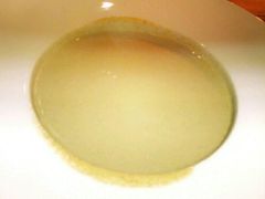 -百好乐宠物友好餐厅(朝外大街店)