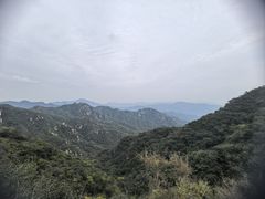 -大岭沟猕猴桃谷风景区