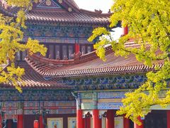 -皇罗禅寺