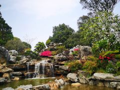 -东莞植物园