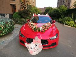 -蚂蚁婚车