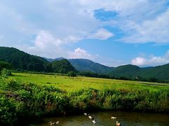 -罗坑大草原