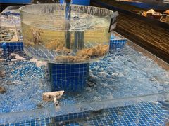 -瓦国小镇·果木烤鸭·融合菜(西口店)