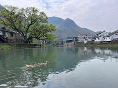 -鹿亭中村
