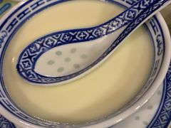 招牌姜撞奶-捷信牛奶甜品世家(五道口店)