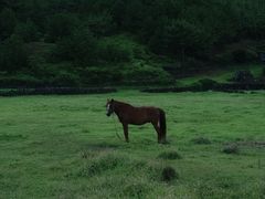 -松岳山