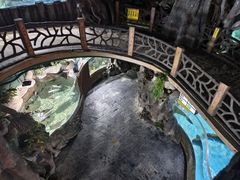 -苏州海洋馆
