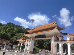 -深圳仙湖植物园