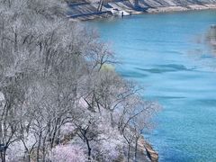 -桃花堤公园