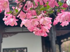 -莫愁湖公园
