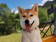 -玉渡山风景区-售票处