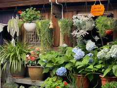 -龙姐私房菜(和顺古镇店)