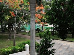 -亚龙湾老厨房·海南家常味