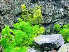 -上海海洋水族馆