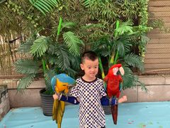 -陕西自然博物馆