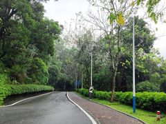 -火炉山森林公园