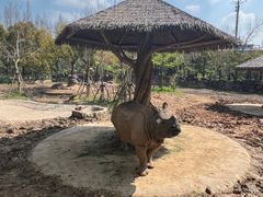 -上海野生动物园