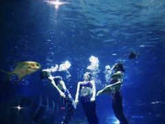 -福州罗源湾海洋世界旅游区