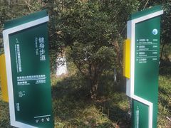 -南京老山国家森林公园