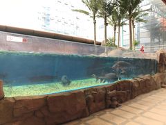 -成都浩海立方海洋公园