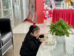 -上海伟杰·捷豹路虎4S店(闵行店)