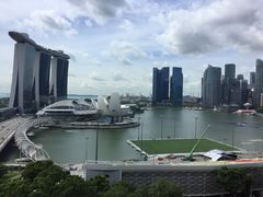 -Colony(新加坡丽思卡尔顿美年酒店)