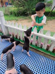 -萌宠亲子动物乐园(槐房万达店)