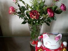 -双季花艺园艺市场(浦东店)