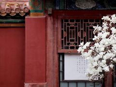 -故宫博物院(故宫)