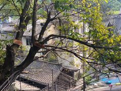 -南山植物园