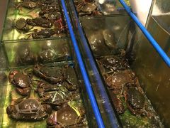 -Isla Sugbu Seafood City