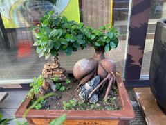 -小有天灌汤包老菜馆(南一马路店)