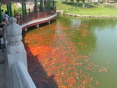 -西海子公园