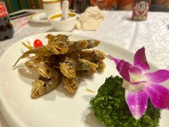 -金米箩大酒店(五角场店)